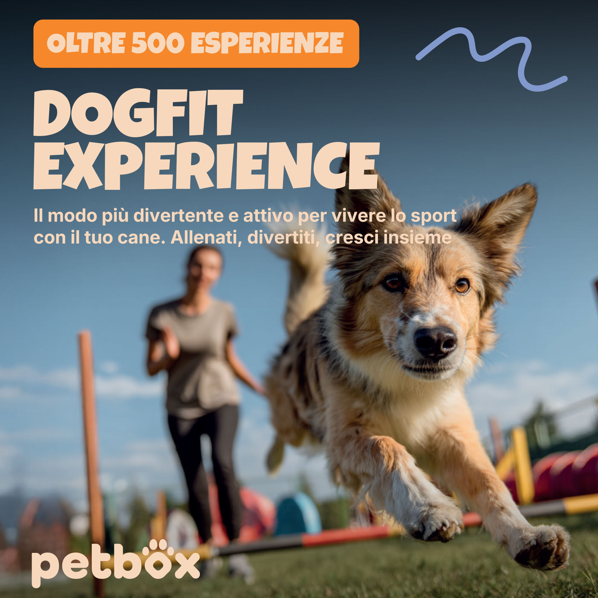 DogFit Experience ( fisico )