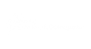 logo venus.png