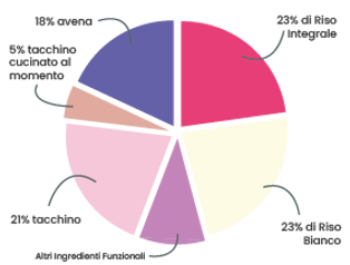 Puppy Salmone Grafico.png