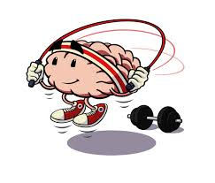 Il cervello va in palestra