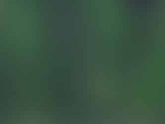 Four organisations working toward a more sustainable future with Google Maps Platform