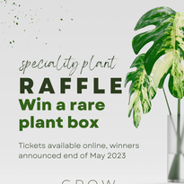 Raffle May Cover.png