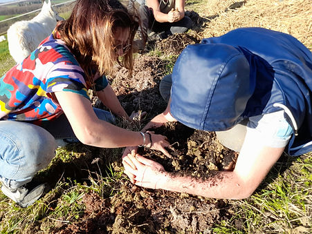 chantier plantation arbres, forêt jardin, gers