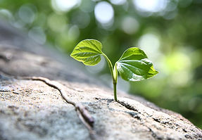 shutterstock_2203362503.jpg