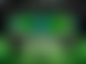 Advocating for Sustainable Energy Systems at COP Negotiations