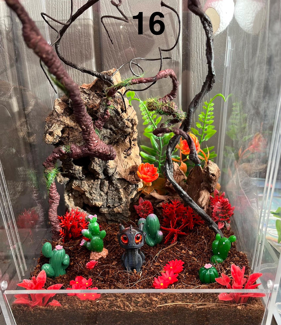 Thumbnail: Jumping Spider / Praying Mantis Decoration Kits 