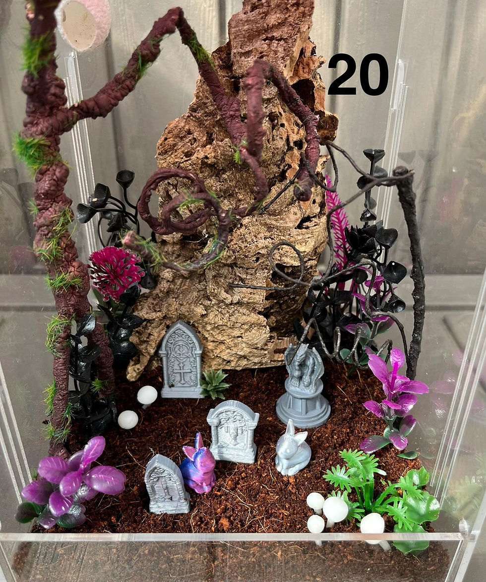 Thumbnail: Jumping Spider / Praying Mantis Decoration Kits 