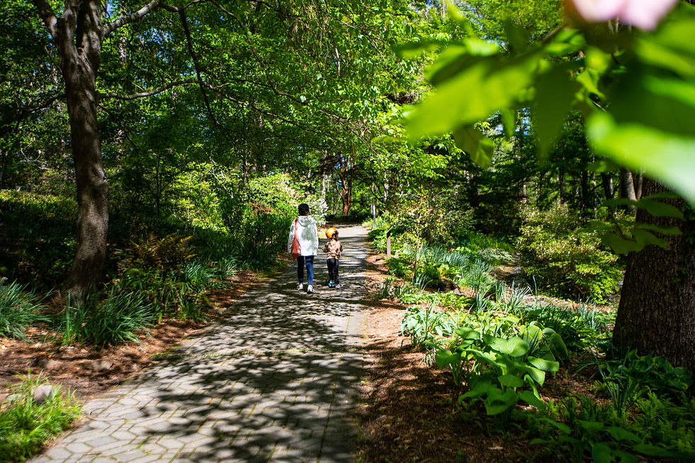 A woman and child walk down a shaded, paved path in the botanical garden, surrounded by trees, plants, and greenery on all sides.
