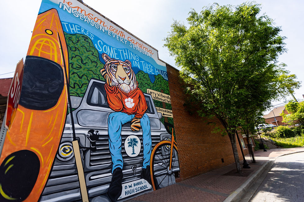 A large mural of a tiger wearing a Clemson hoodie on the side of a brick building