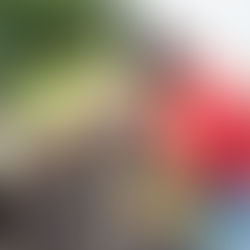 June 1, 2025 Successful Project Grant Review: Langton Green Community Farm 