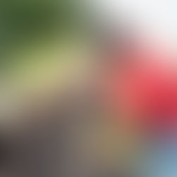 June 1, 2025 Successful Project Grant Review: Langton Green Community Farm 