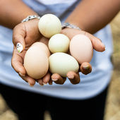 Celebrating National All is Ours Day on April 8, 2026 with FCIDD!