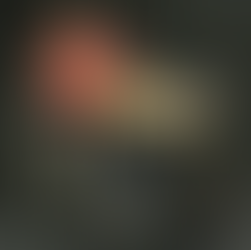 November 2024 Grant Awards