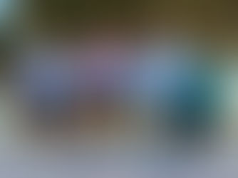 Spende der Voltaire Schule