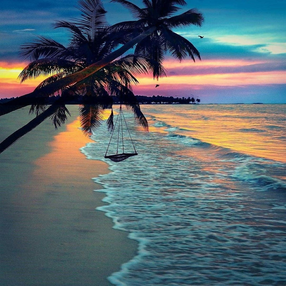 tropicalparadise.jpg