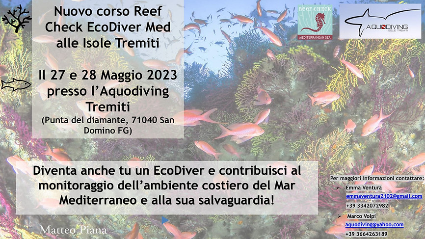 Corso Reef