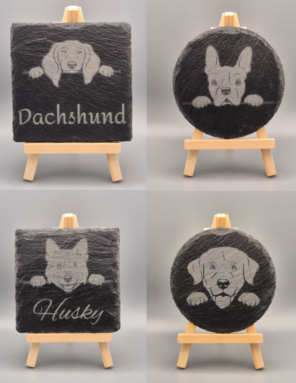 Thumbnail: Dogs