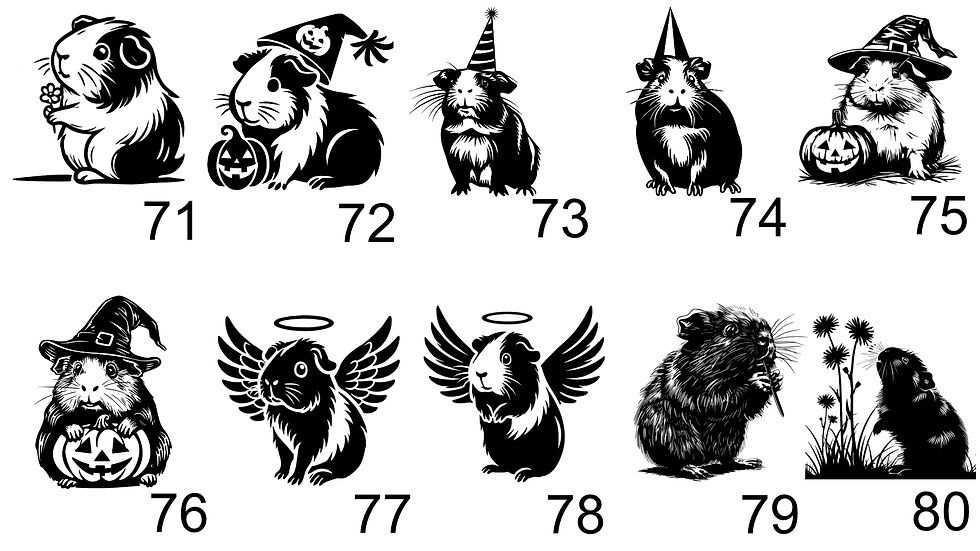 Thumbnail: Guinea Pigs