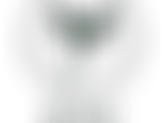 Why Executive Function Alone Isn’t Enough: The Power of Root, Reflect, Rise, and Reach