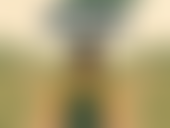 Does Your Child Need Tutoring or Executive Function Coaching?