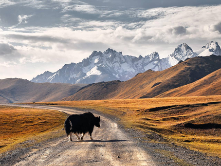 Sustainable travel: Where to go in 2023