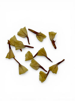 Photoroom_20260327_121309