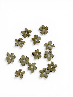 Photoroom_20260327_121156