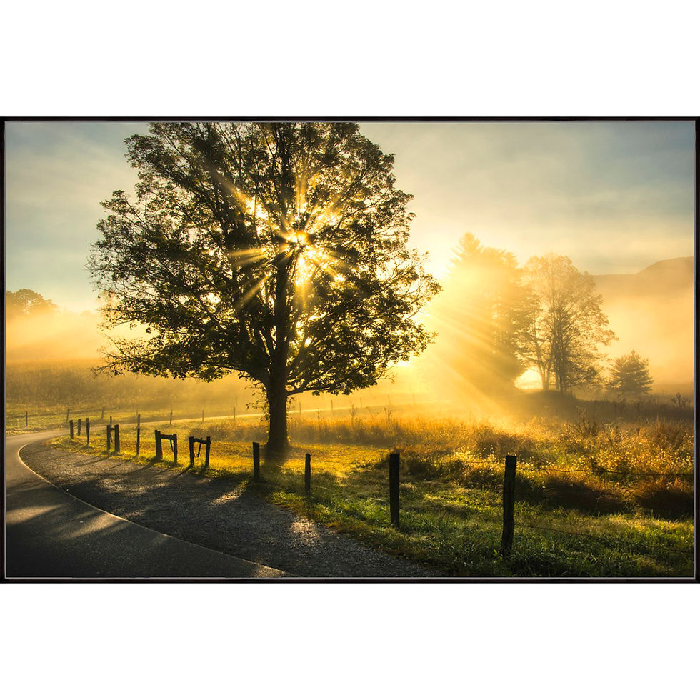 Thumbnail: Wake Up Call - 48" x 72"