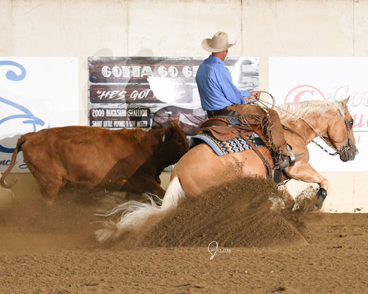 Magical Voodoo
NRCHA stallion