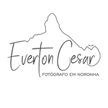 everton noronha logo.png