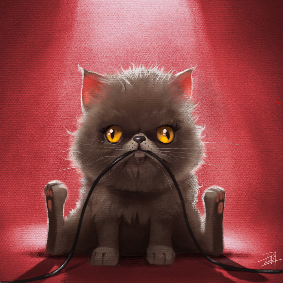 CHATON