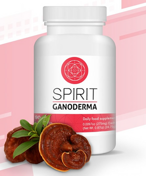 Capsules naturelles avec extrait de Ganoderma.