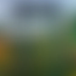 8th March 25 Day off? Not quite