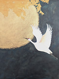 kraanvogel_edited.jpg