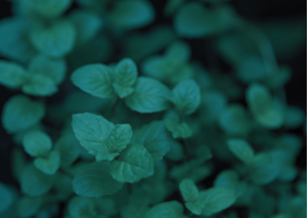 Madeleine Leroy(1).png