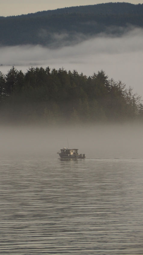 fishing boat on misty water