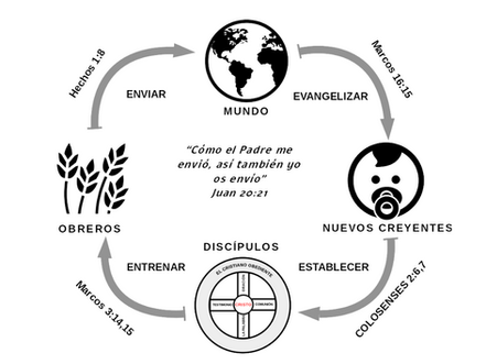 Qué es el proceso del Discipulado?
