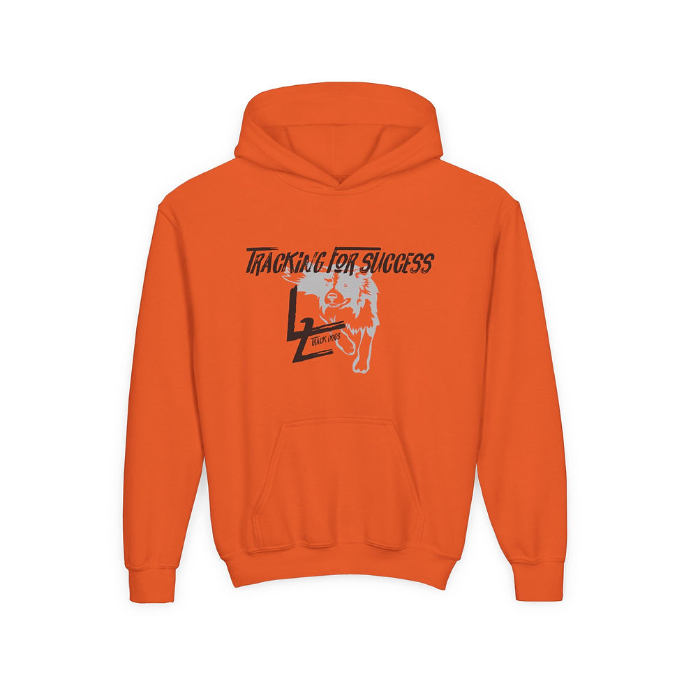 Thumbnail:  Youth Hoodie -Tracking for Success with Dog