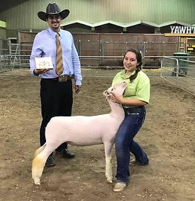 FW ewe Hailey.jpg