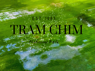 TRAM CHIM NATIONAL PARK - REFUGE IN THE NATURAL WORLD