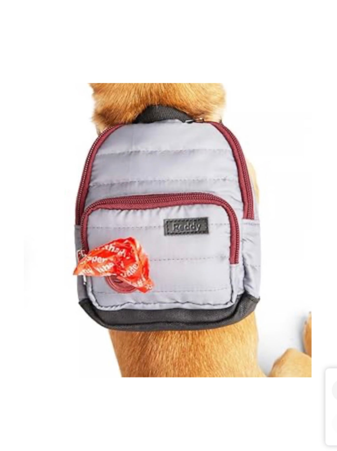 Reddy Dog Backpack, S-M