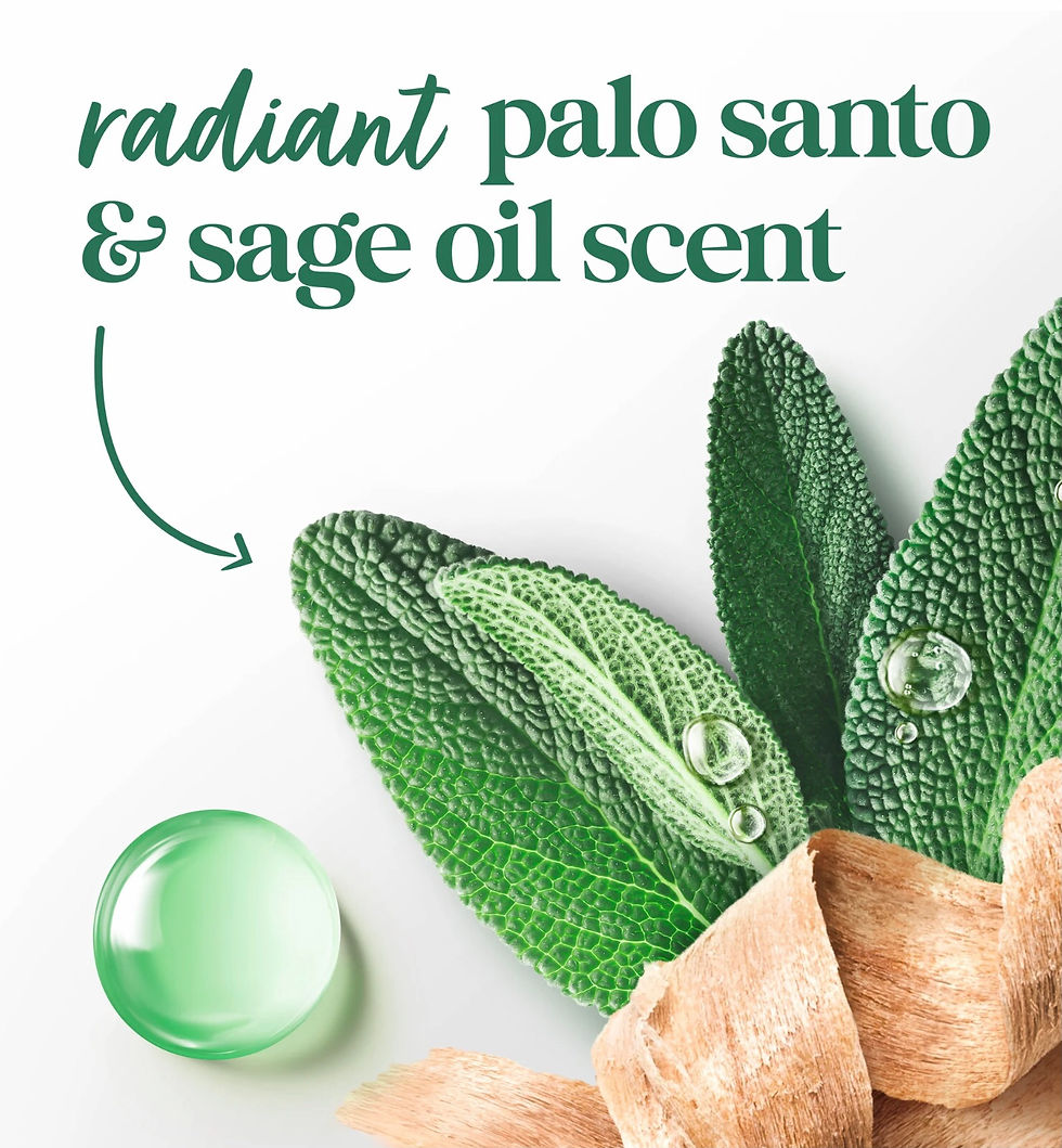 Thumbnail: Dove Limited Edition FIFA Body Wash Palo Santo & Sageo Oil for Hydrated & Soft S