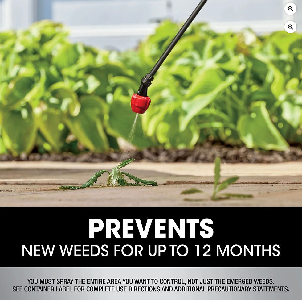 Thumbnail: Roundup Dual Action 365 Weed & Grass Killer Plus 12 Month Preventer Concentrate,