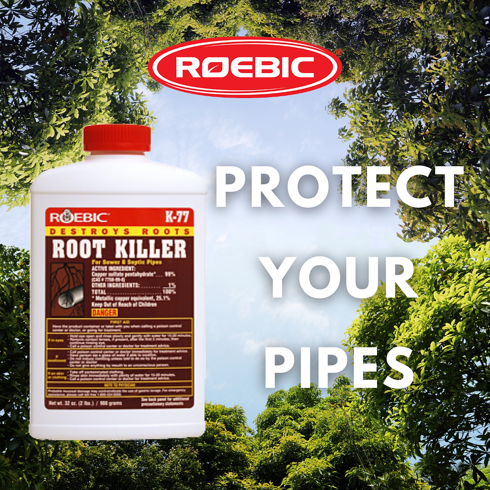 Thumbnail: Roebic Laboratories 1LB ROOT KILLER - Kills Roots in Septic and Sewer Lines