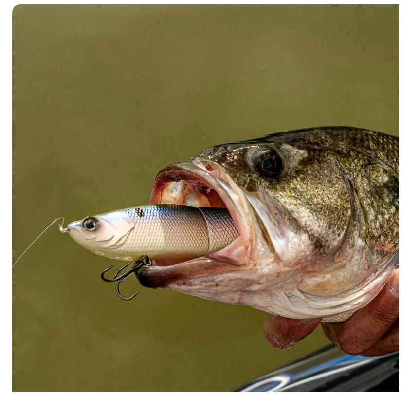 Thumbnail: 6th Sense – The Draw – Glide Bait – Bass Fishing – Designed with Pro Angler Ben 