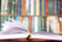 libro blanco.jpeg