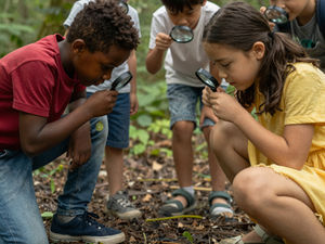 Sprouts Outdoor Learning Activities