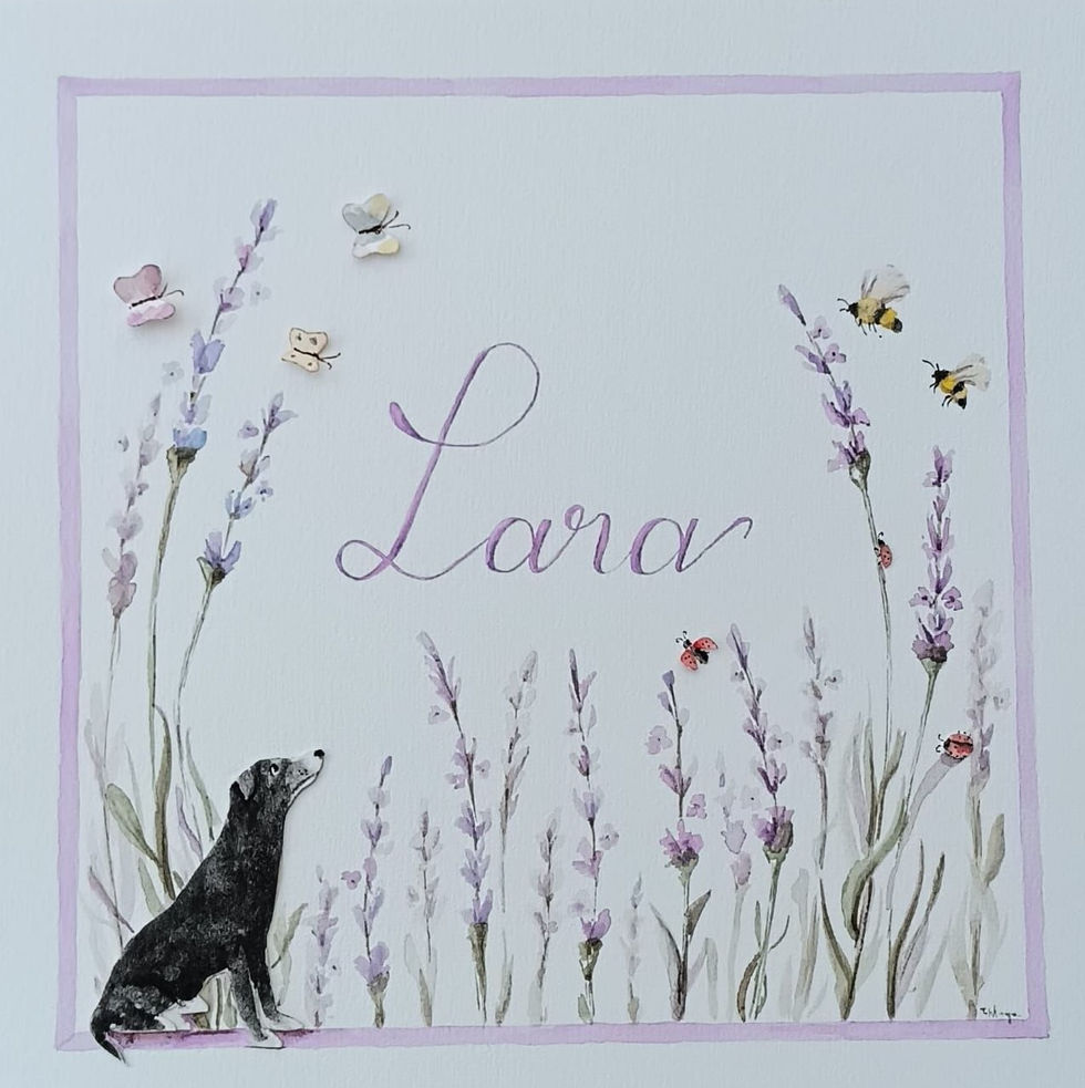 Lara - porta maternidade