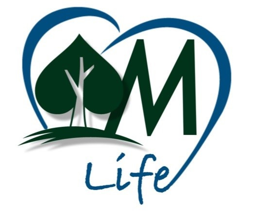 Oxigênio Medicinal Life