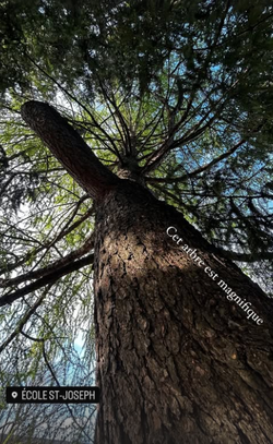 Capture d’écran, le 2025-03-25 à 10.48.09